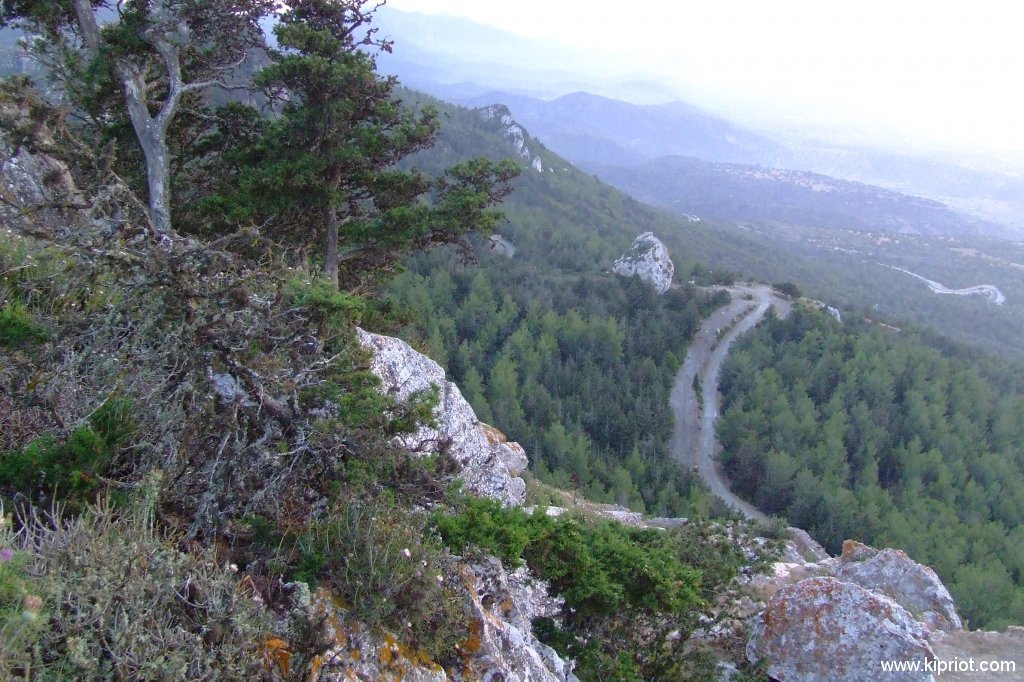Горные дороги