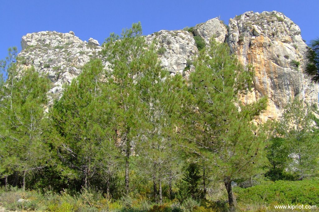 Скалы в Киренийских горах