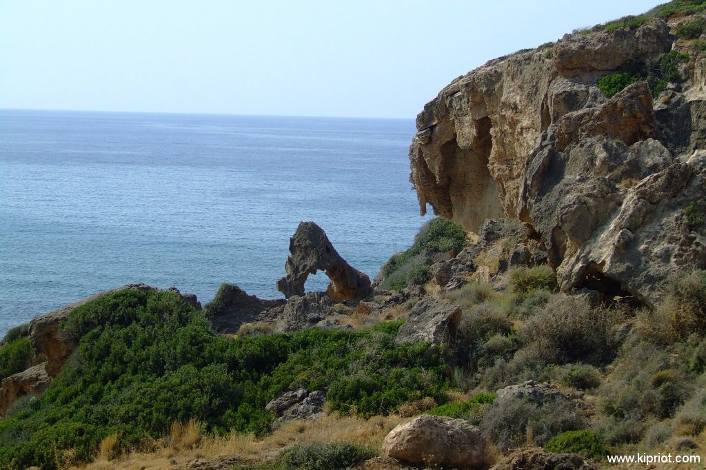 Скалы на берегу моря